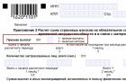 Пилот ФСС «Прямые выплаты» расширяется Пилот ФСС «Прямые выплаты» расширяется